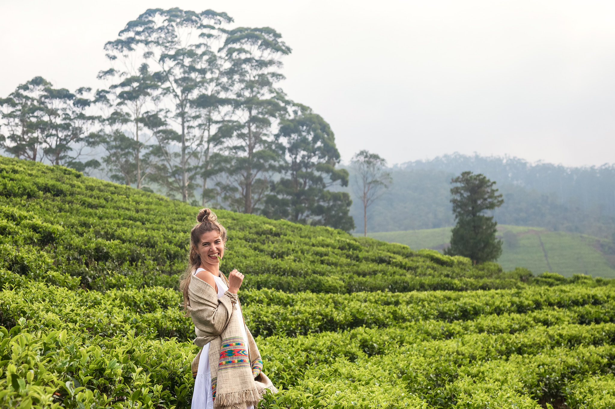 Tea Country Adventure